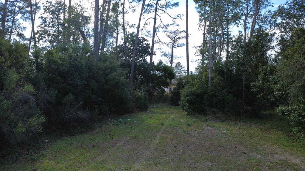 117 Monica Dr, Port St. Joe 32456