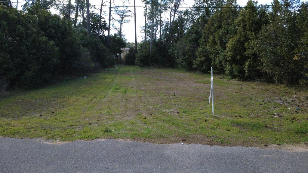 117 Monica Dr, Port St. Joe 32456
