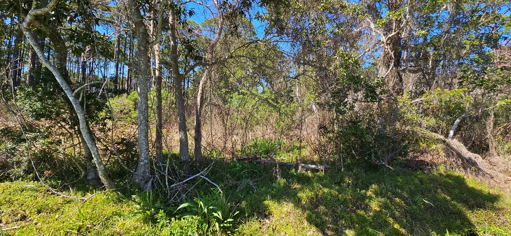 2955 Hwy 98 E, 32322