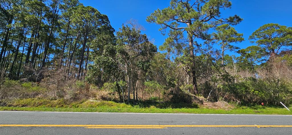 2955 Hwy 98 E, 32322