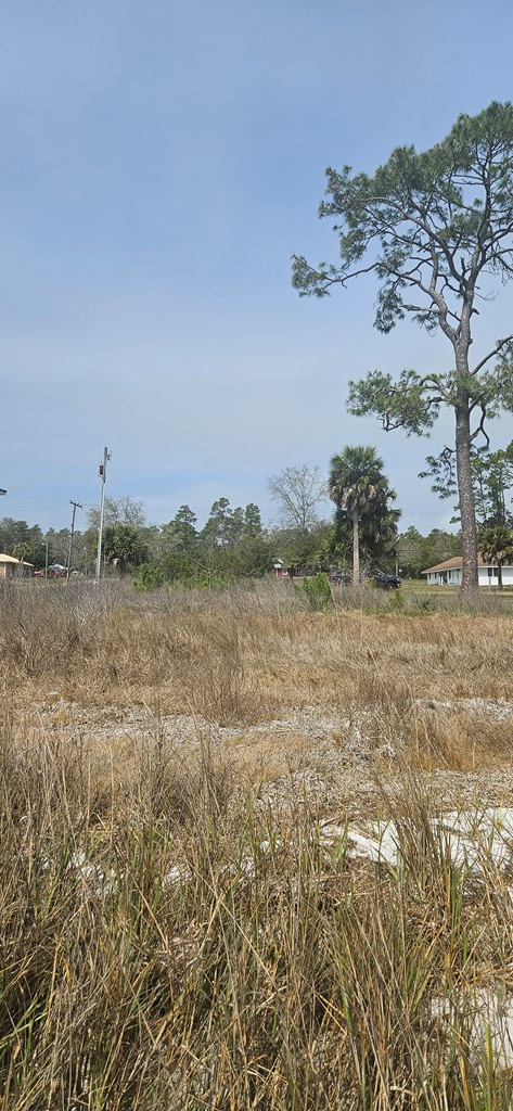 2298 Hwy 98 E, 32322