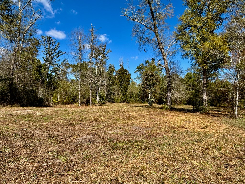 703 W River Rd, 32465