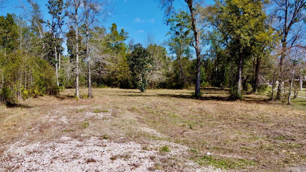 703 W River Rd, 32465