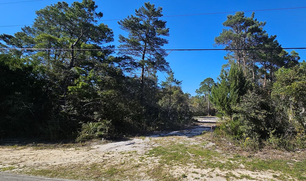 2003 Lighthouse Rd, 32322