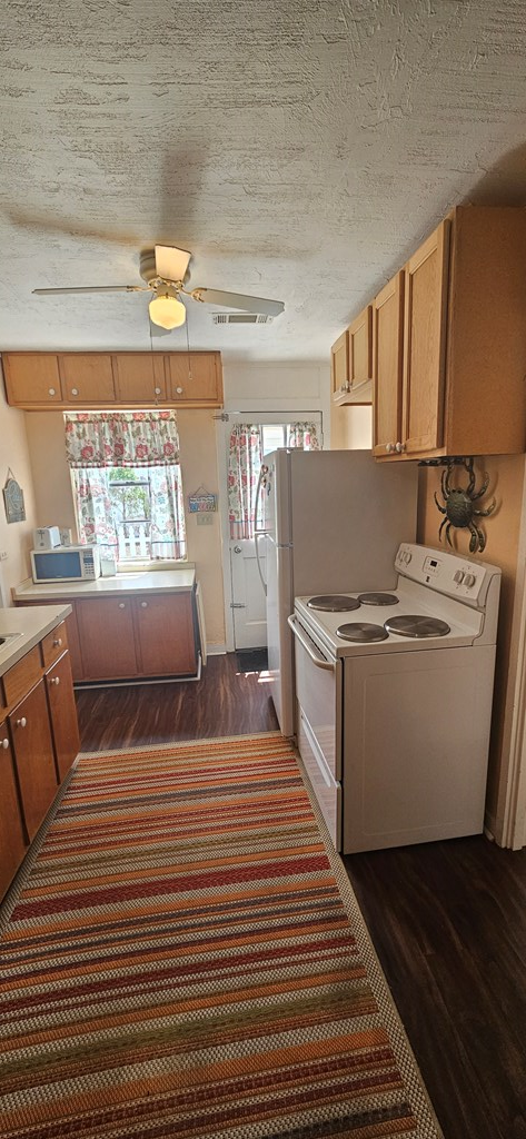 15-3 Collins Ave, 32323