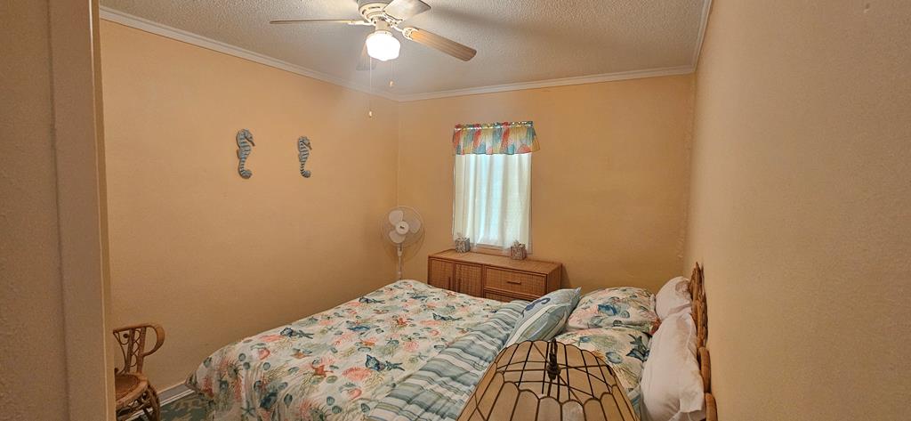 15-3 Collins Ave, 32323