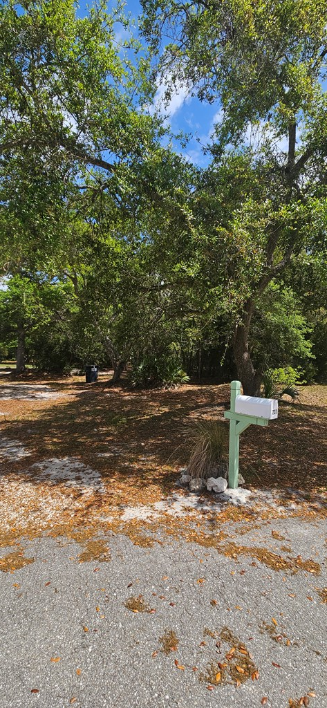 231 Apalachee St, 32322