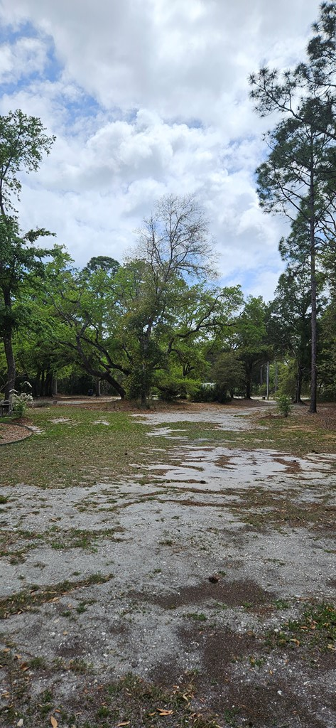 231 Apalachee St, 32322