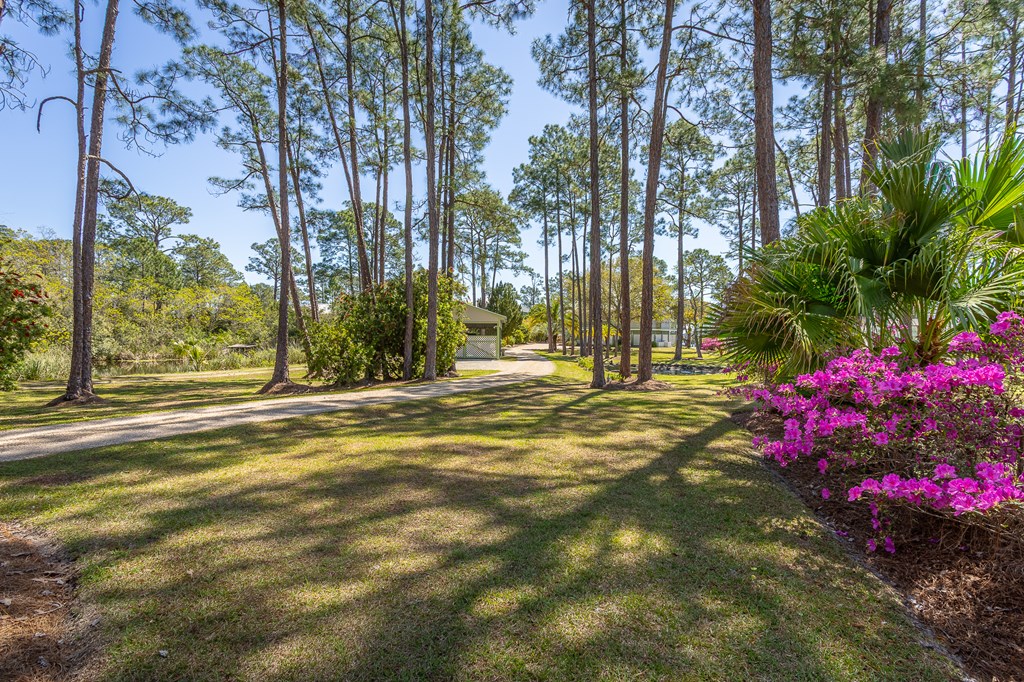 433 River Rd, 32322