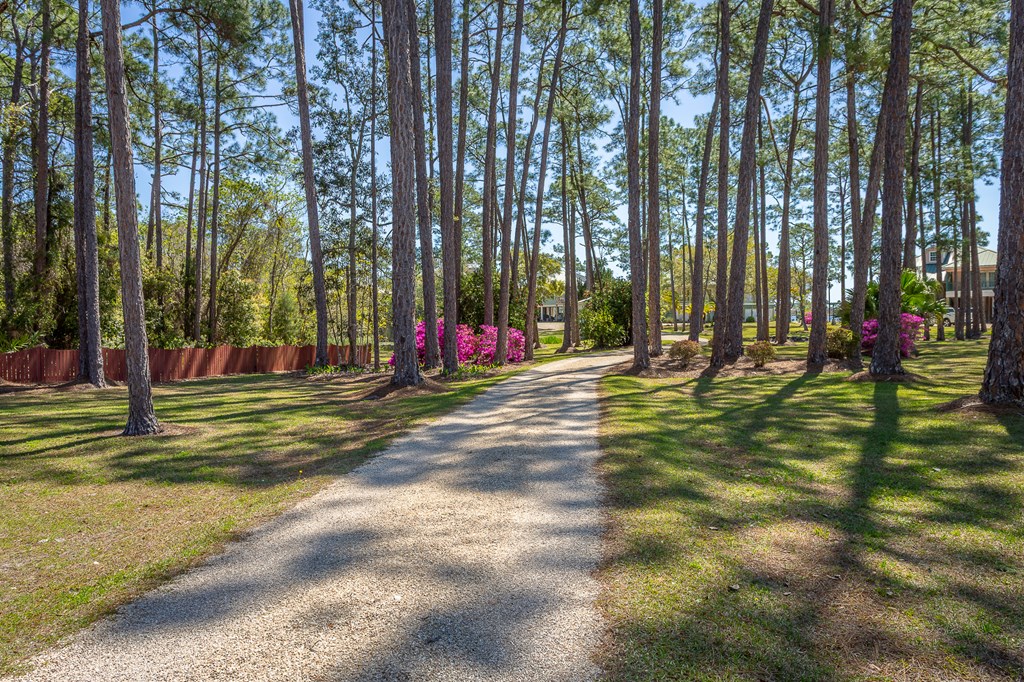433 River Rd, 32322
