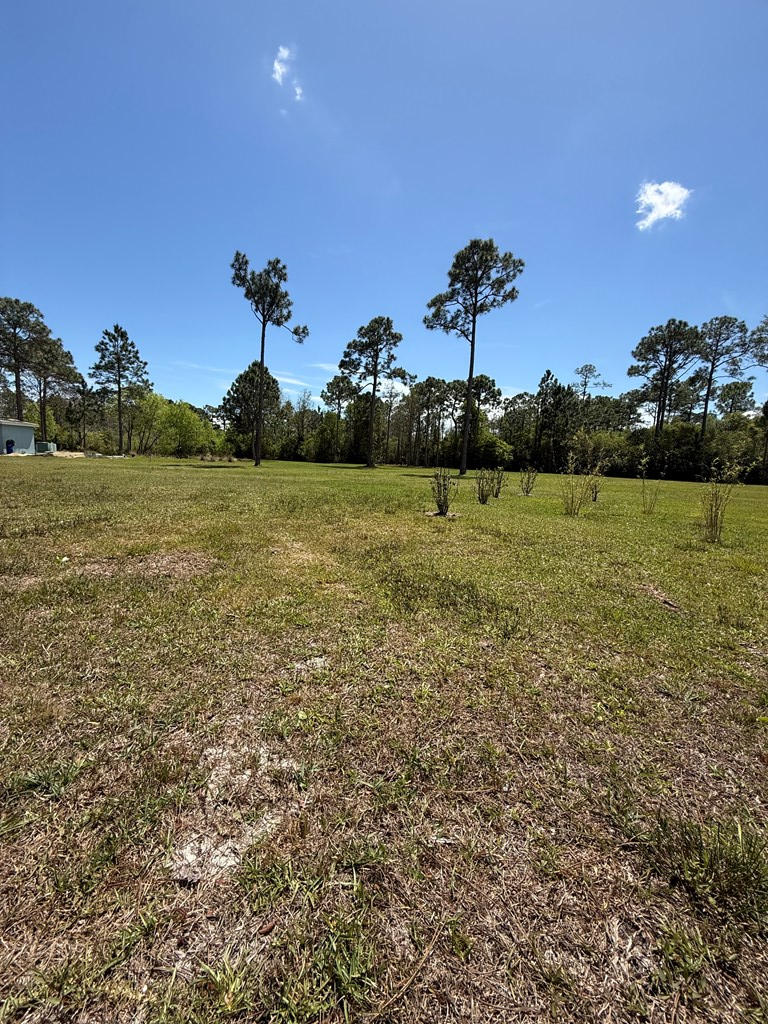 220 Frank Mckamey Way, 32322