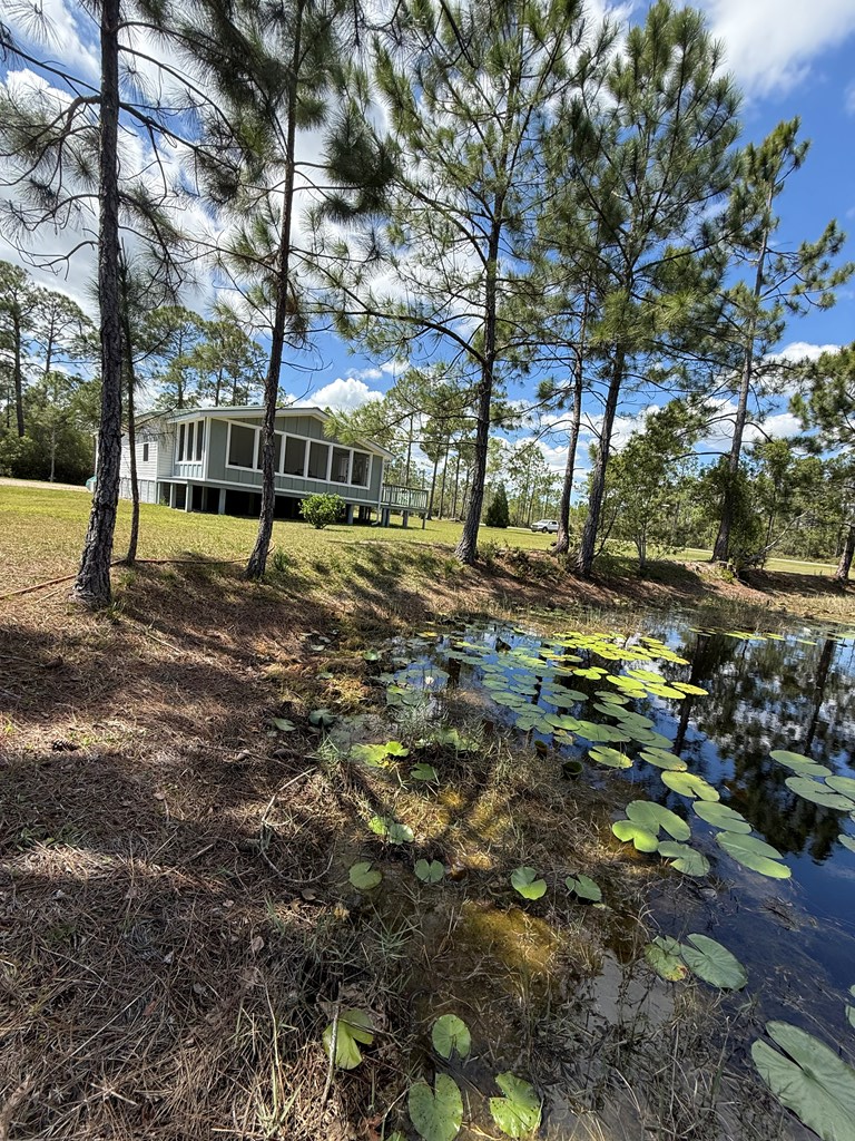 220 Frank Mckamey Way, 32322