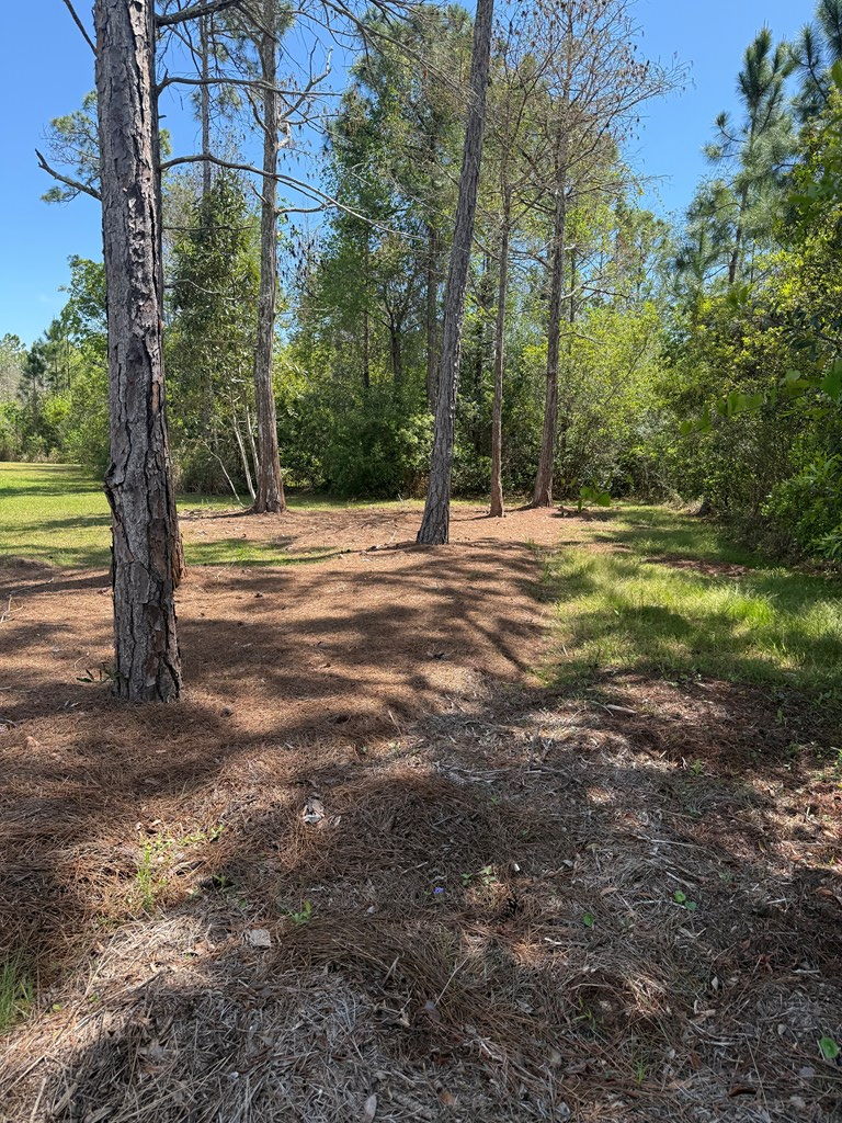 220 Frank Mckamey Way, 32322