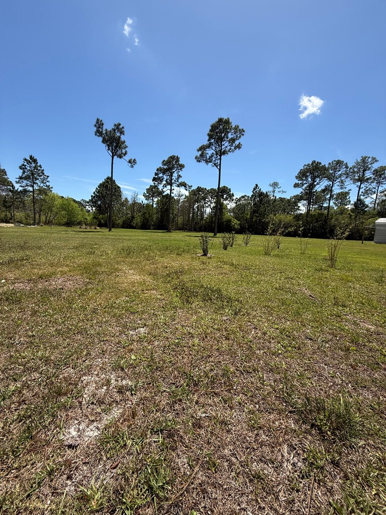 220 Frank Mckamey Way, 32322