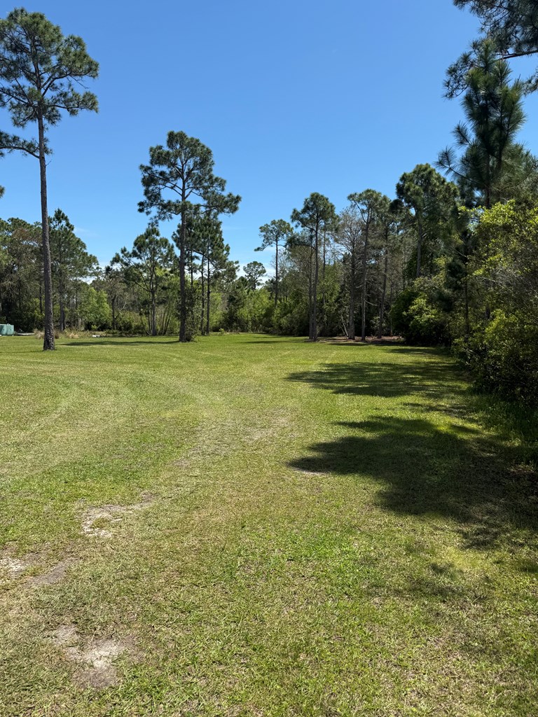 220 Frank Mckamey Way, 32322
