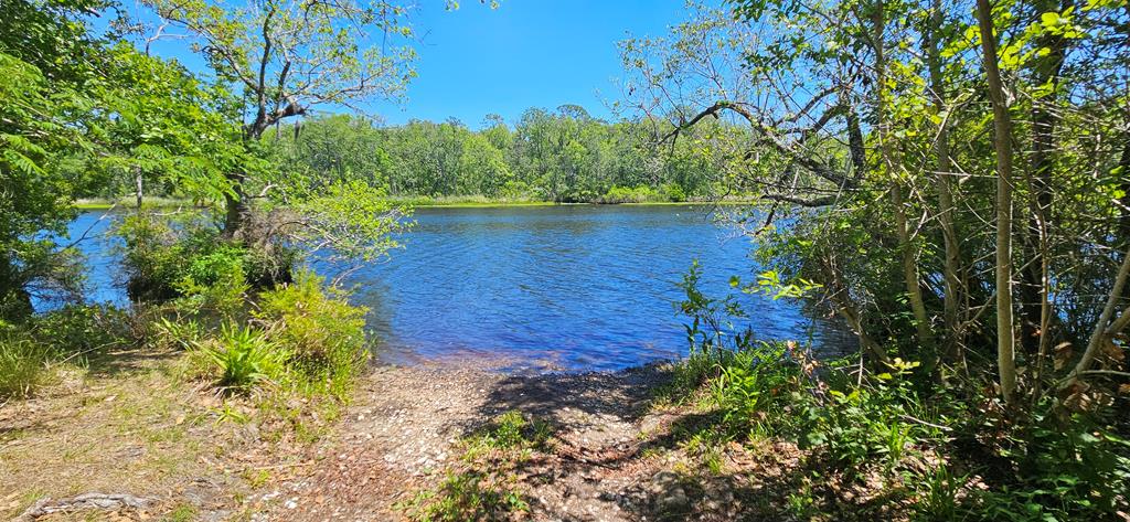580 Clark's Landing Rd, 32322