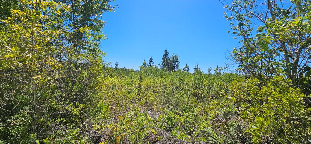 580 Clark's Landing Rd, 32322