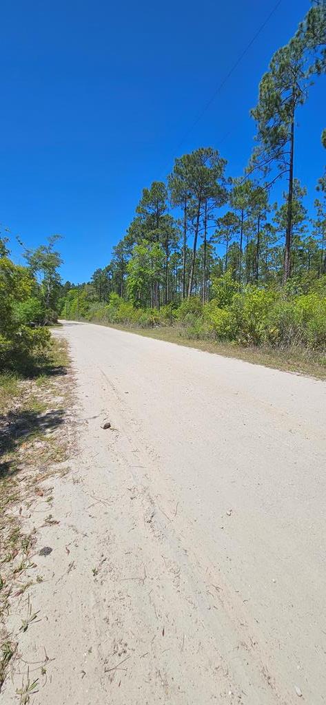 580 Clark's Landing Rd, 32322