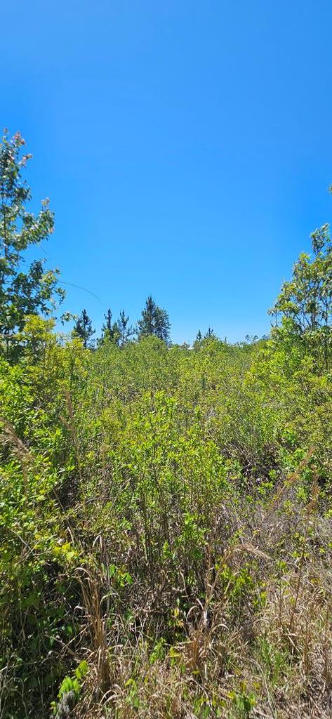 580 Clark's Landing Rd, 32322