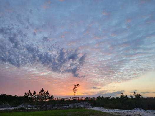 580 Clark's Landing Rd, 32322
