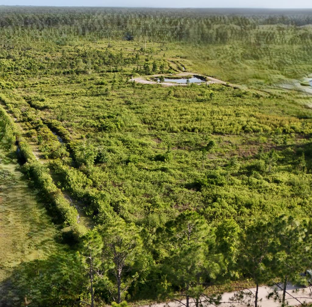 580 Clark's Landing Rd, 32322
