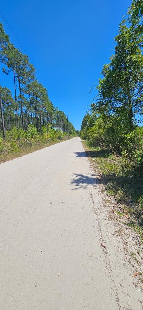 580 Clark's Landing Rd, 32322