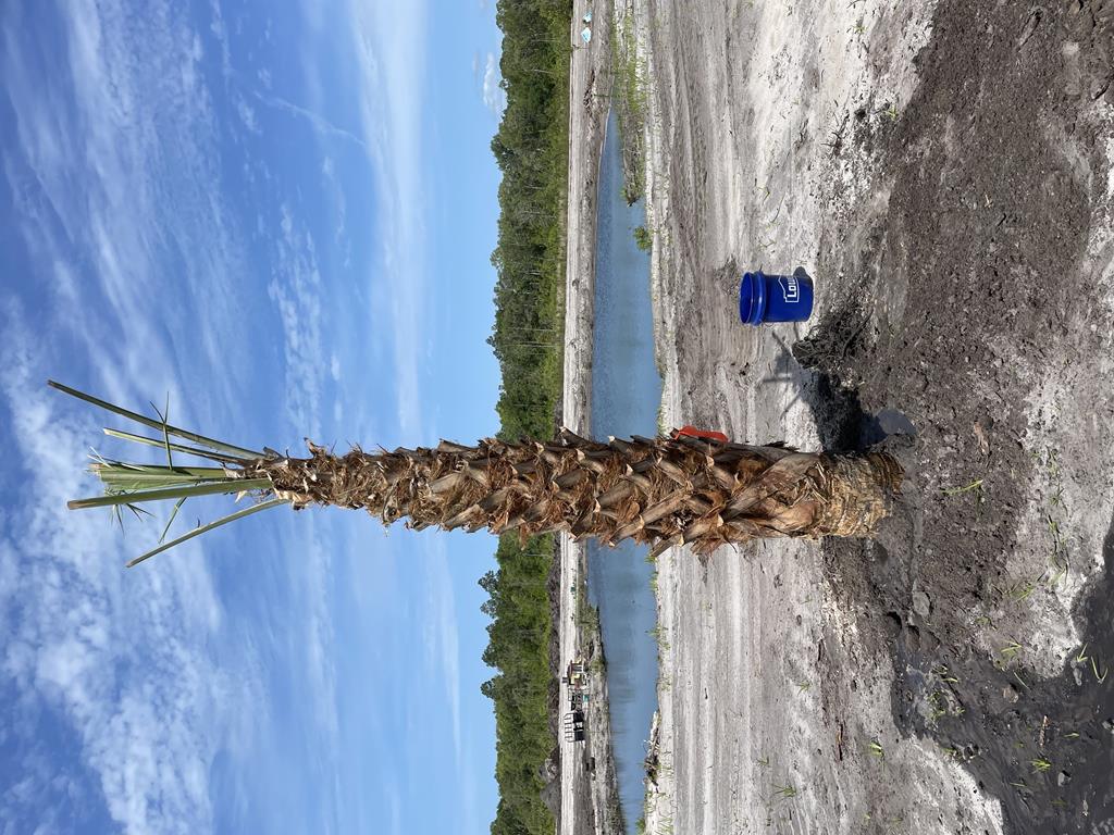 580 Clark's Landing Rd, 32322