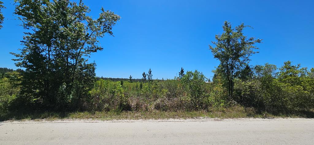 580 Clark's Landing Rd, 32322
