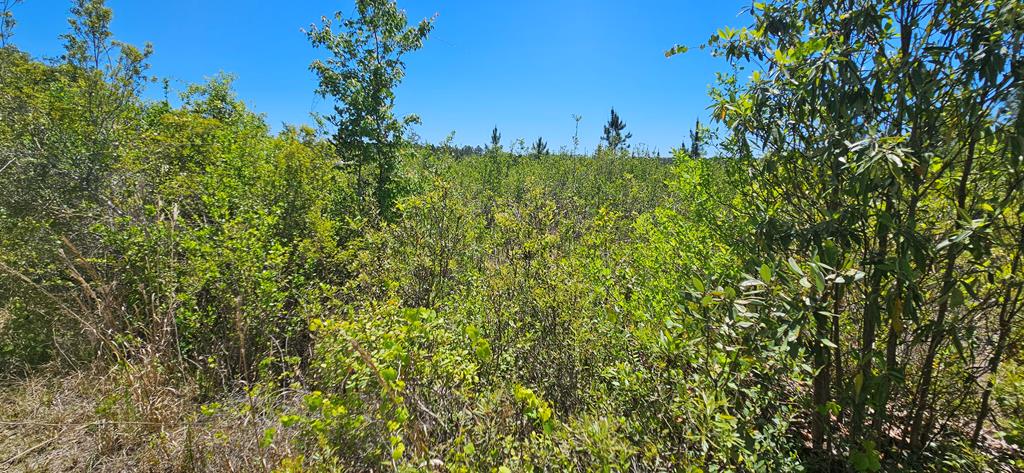 580 Clark's Landing Rd, 32322
