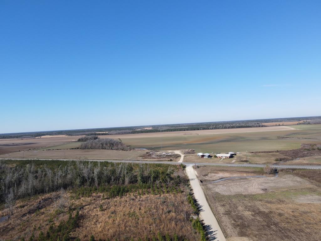 40 Davis Peacock Rd, 32449