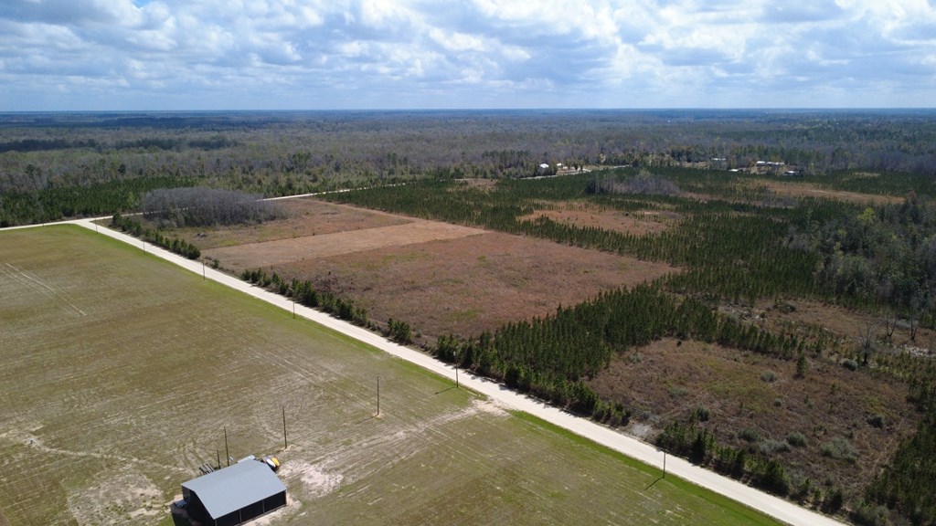 40 Davis Peacock Rd, 32449