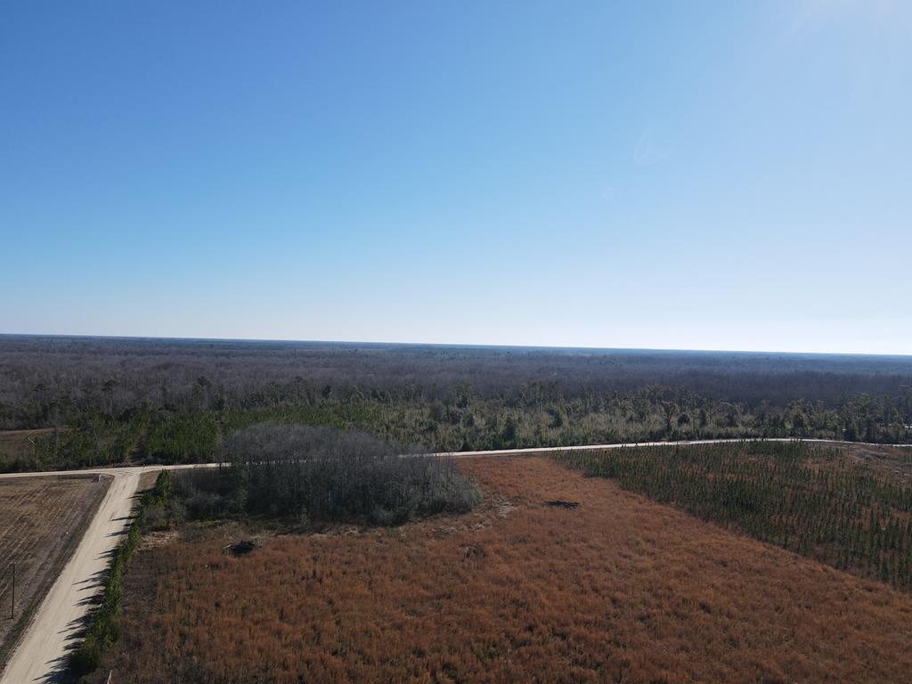 40 Davis Peacock Rd, 32449