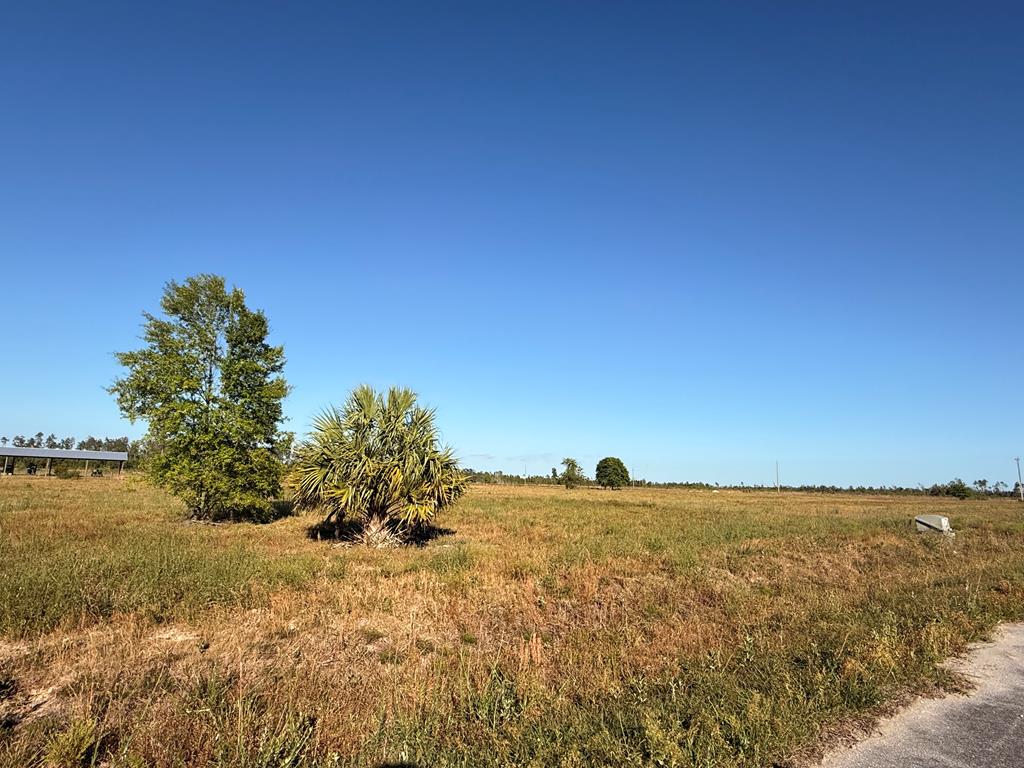 Lot 12 Harmony St, 32465