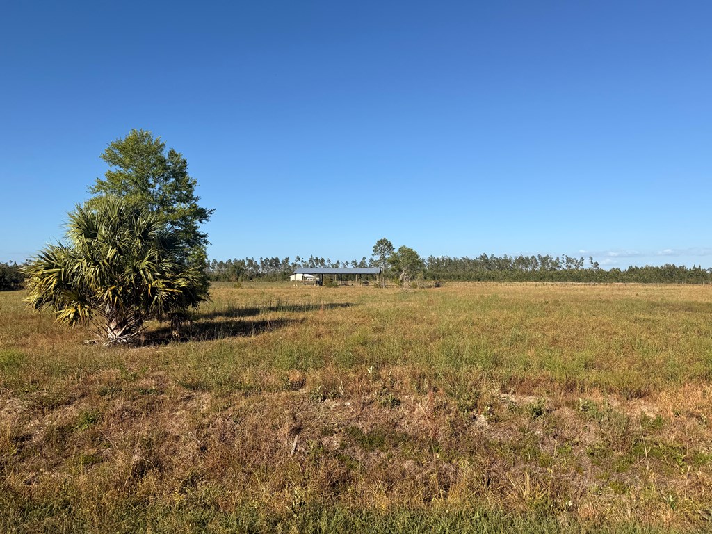 Lot 12 Harmony St, 32465