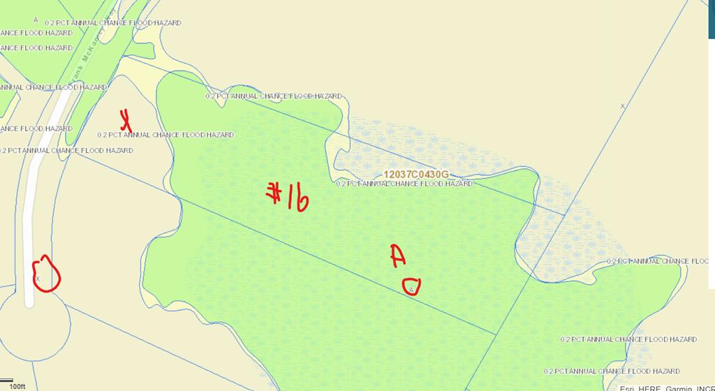 332 Frank Mckamey Way, 32322