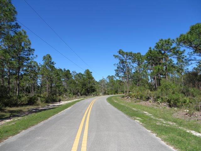 332 Frank Mckamey Way, 32322
