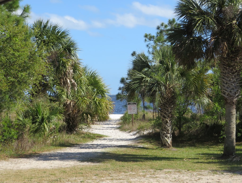 332 Frank Mckamey Way, 32322