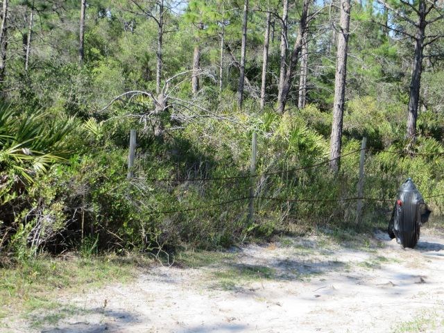 332 Frank Mckamey Way, 32322