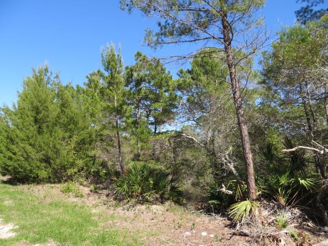332 Frank Mckamey Way, 32322