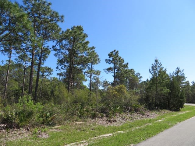 332 Frank Mckamey Way, 32322