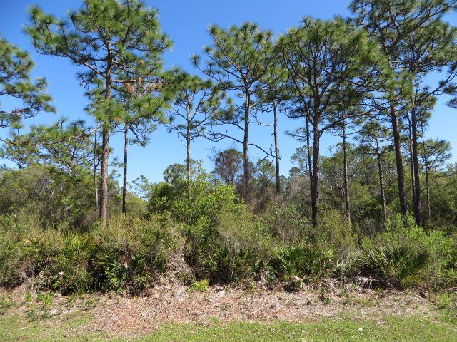 332 Frank Mckamey Way, 32322