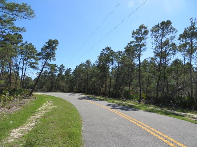 332 Frank Mckamey Way, 32322