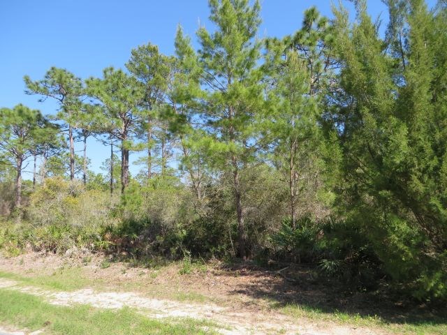 332 Frank Mckamey Way, 32322