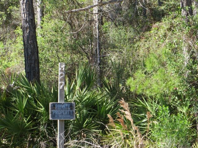 332 Frank Mckamey Way, 32322