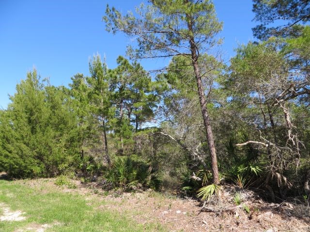 332 Frank Mckamey Way, 32322