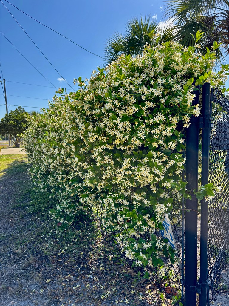 352 Gulf St, Port St. Joe 32456