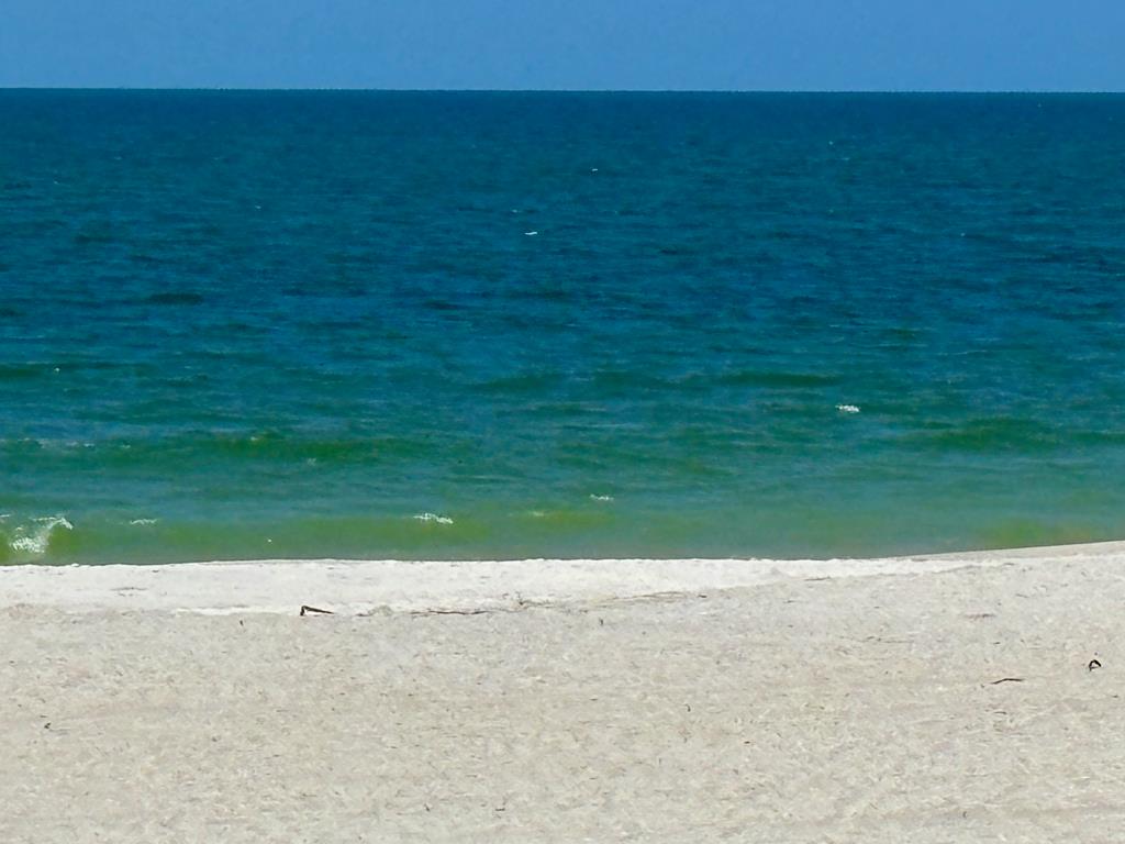842 Backwater Rd, Port St. Joe 32456
