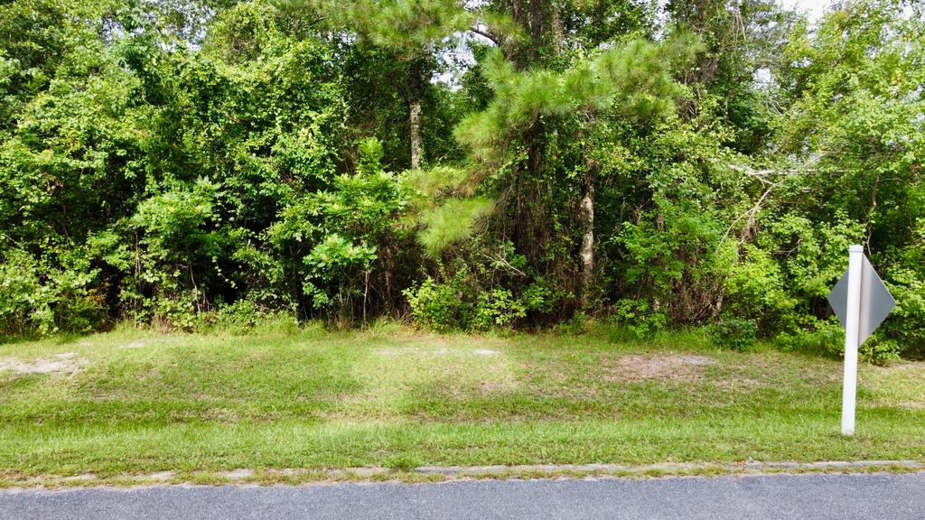 113 Little River Cir, 32456