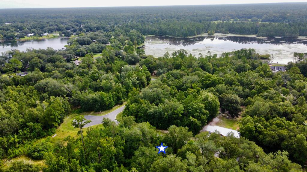 113 Little River Cir, 32456
