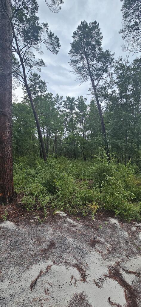 1008 Sunset Cir, 32322